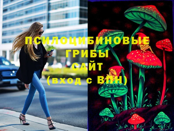 apvp Усмань