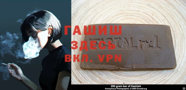 мдпв Бердск